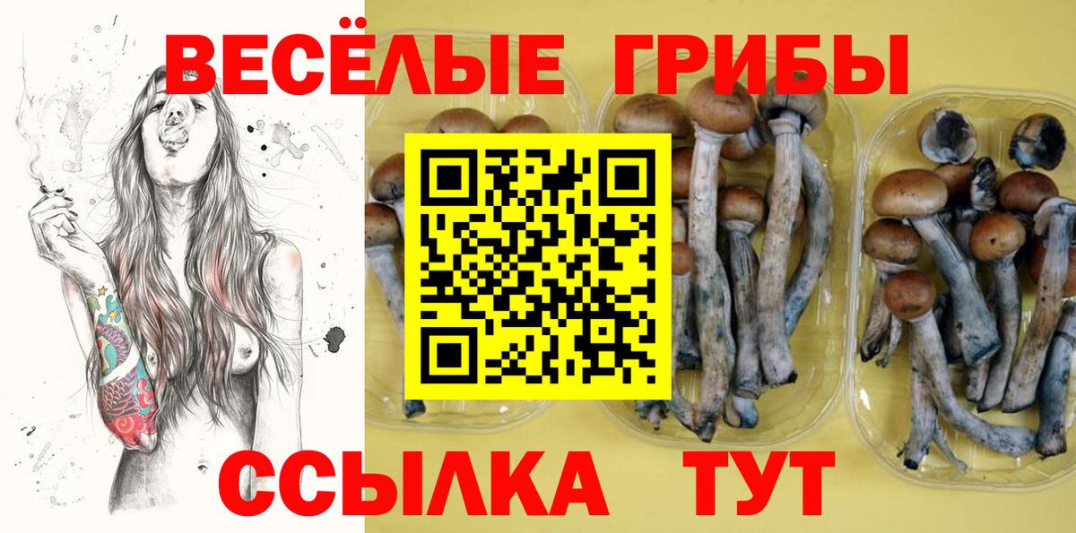Псилоцибиновые грибы MAGIC MUSHROOMS Киреевск